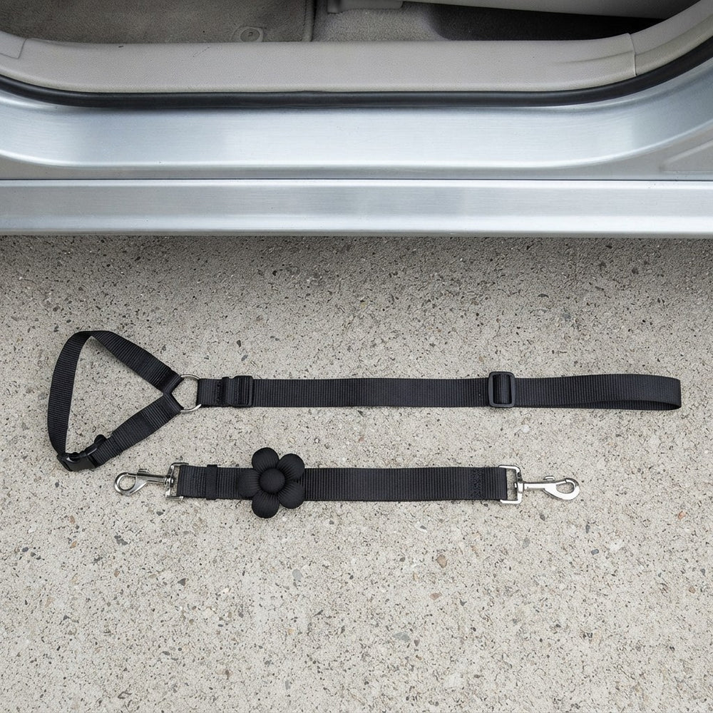 Dog Car Seat Belt