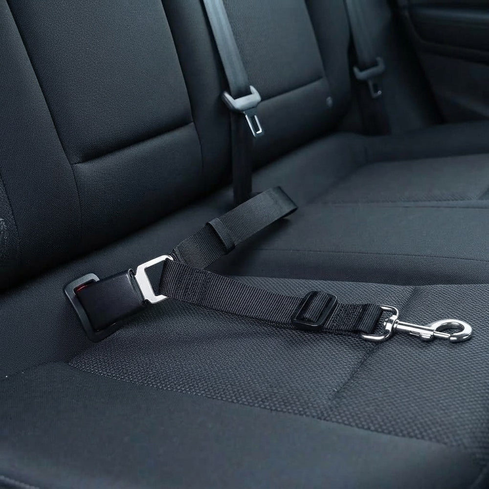 Dog Car Seat Belt