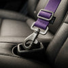 Dog Car Seat Belt