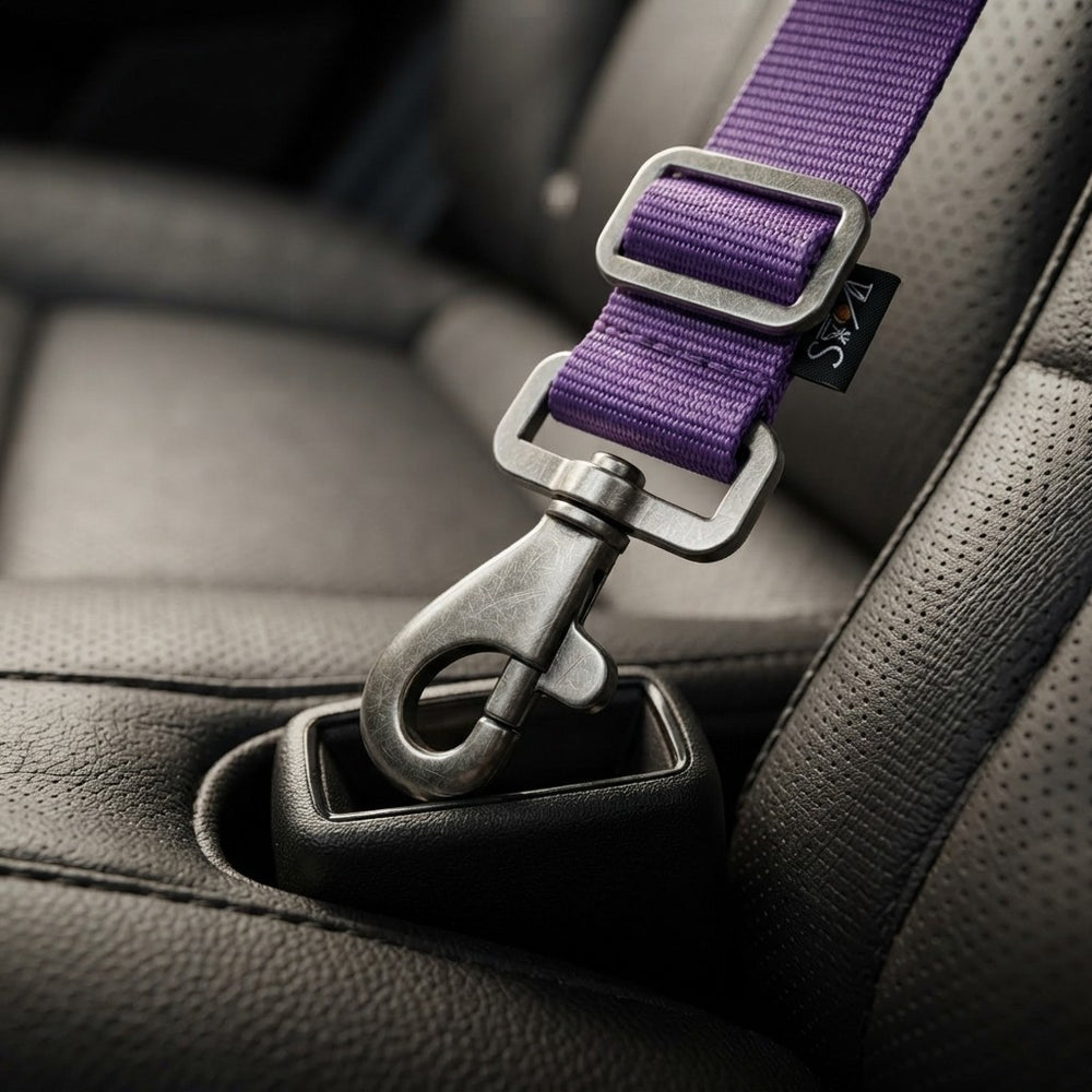 Dog Car Seat Belt