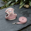Lovely Small Pet Vest Chest Strap Dog Leash Traction Rope Walking Dog Cat Bunny Vest Harness Poodle Collar Leash Dog Accessories