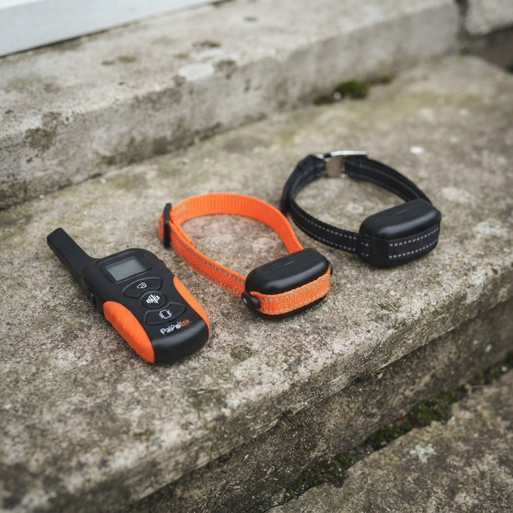 Safe Dog Training Collar