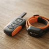 Safe Dog Training Collar